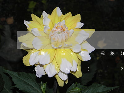 分期樂有免息嗎，揭秘分期樂：是否有提供免息服務(wù)？